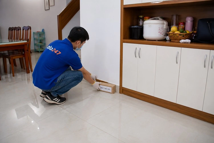 Thợ alo247 thực hiện diệt mối tận gốc tại Mê Linh