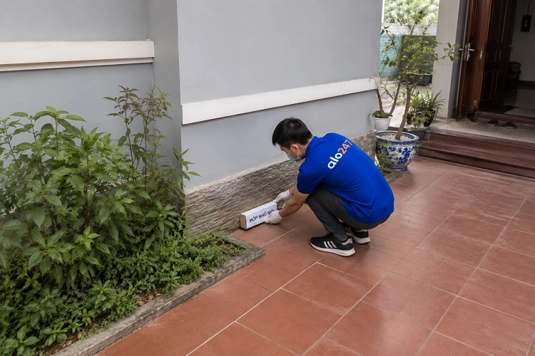 Thợ alo247 thực hiện diệt mối tận gốc tại Nội Bài