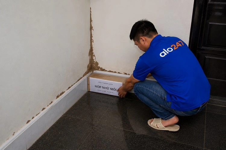 Thợ alo247 thực hiện diệt mối tận gốc tại Sóc Sơn