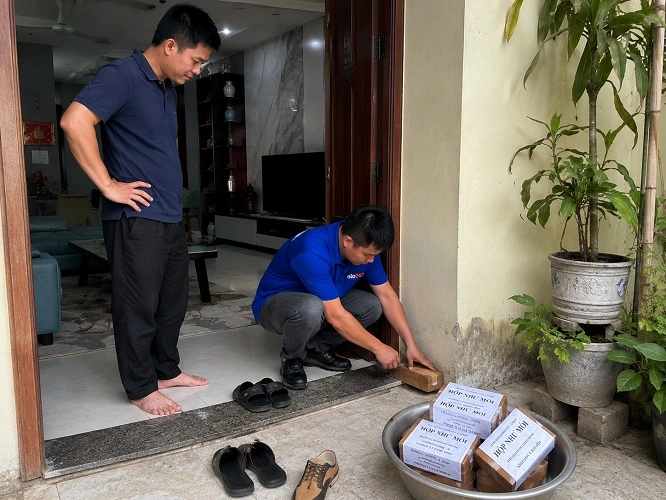 Thợ alo247 thực hiện diệt mối tận gốc tại Thường Tín