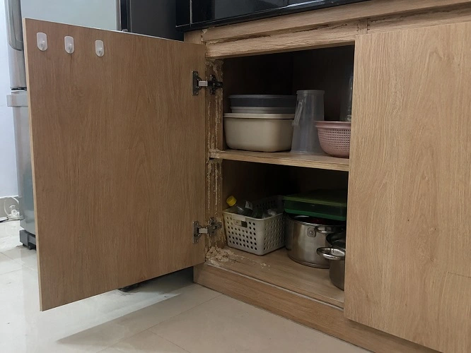 Tủ bếp bằng gỗ bị mối ăn rỗng bên trong