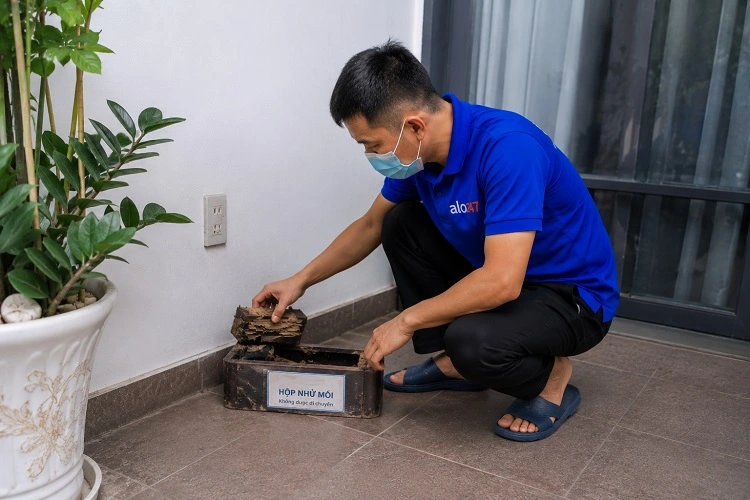 alo247 Dịch vụ diệt mối tận gốc tại Bồ Đề