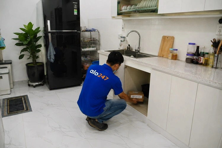 alo247 Dịch vụ diệt mối tận gốc tại Phú Lương