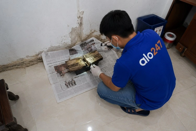 alo247 Dịch vụ diệt mối tận gốc tại Thanh Liệt