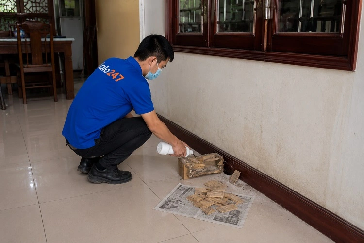 alo247 Dịch vụ diệt mối tận gốc uy tín tại Lĩnh Nam