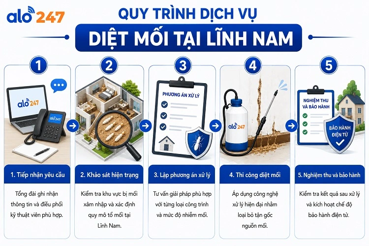 alo247 Quy trình dịch vụ xử lý côn trùng