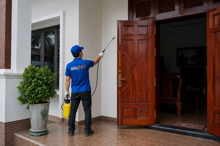 alo247 phun thuốc diệt mối bằng phương pháp sinh học