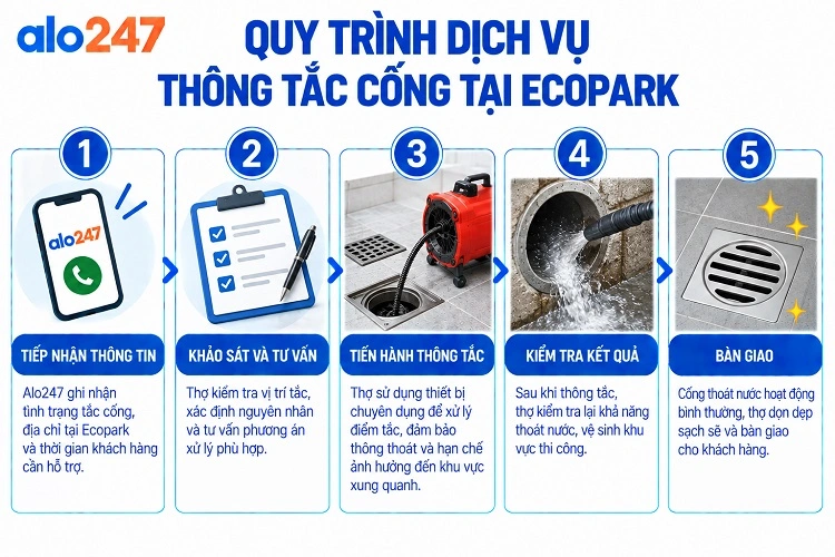 Alo247 Quy trình dịch vụ thông tắc cống tại Ecopark