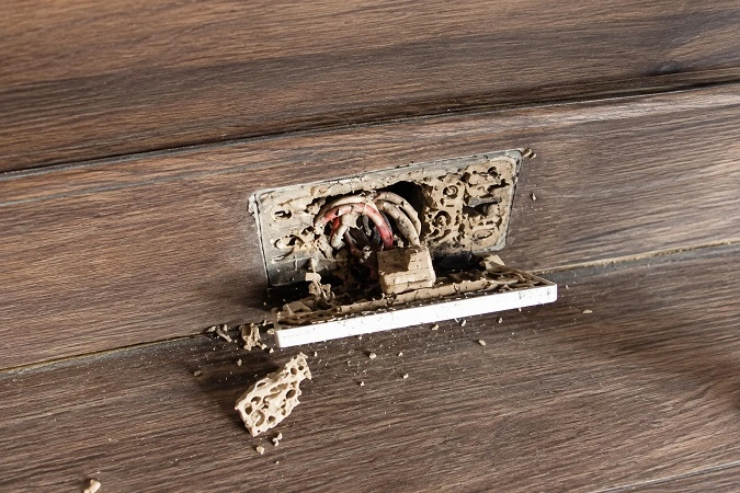 Khắc phục sự cố chập điện do mối mọt làm tổ trong ổ cắm